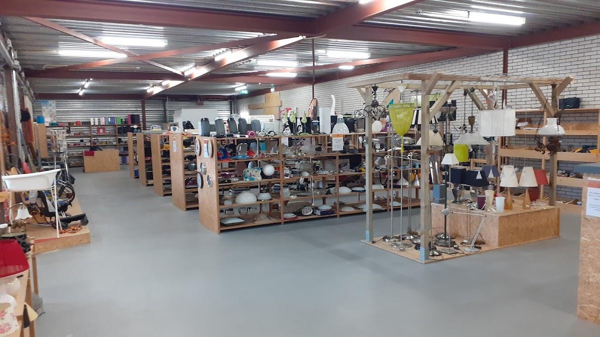 Hoe kun je de beste vijverplanten kiezen?