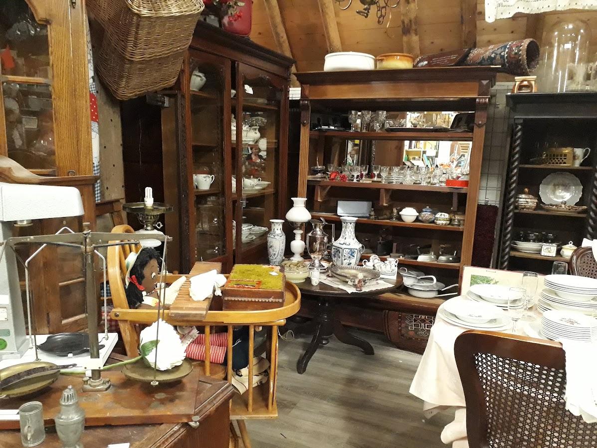 Hoe plant je vijverplanten?