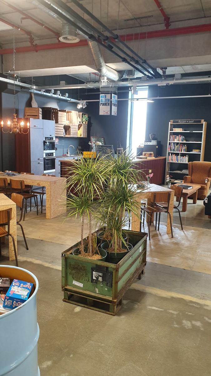 Tips voor het kopen van gebruikte meubels in tweedehandswinkels