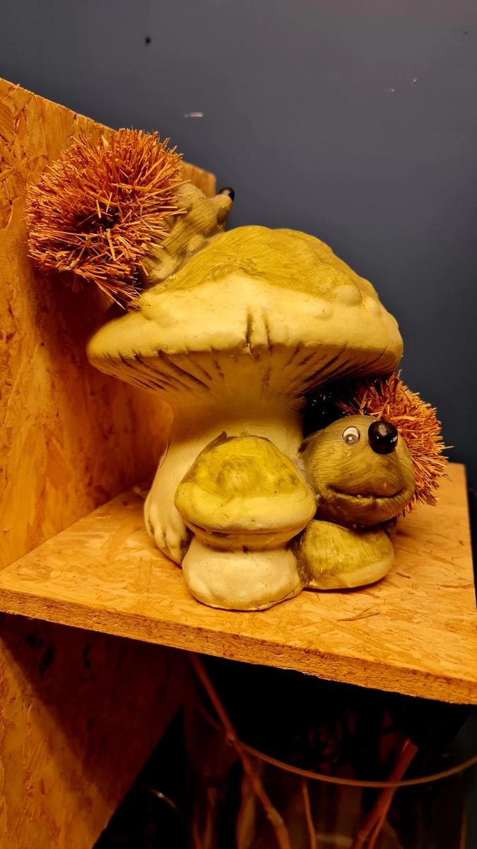 Sint Ruil Dobbelspel