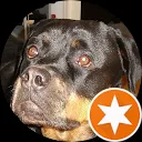 Hennie van den Bovenkamp