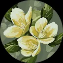 Els Sahraoui-Hartjes