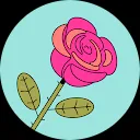 الوردة البيضاء