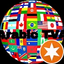 Arabic TVA