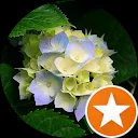 Agnieszka Miesiączek