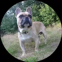 Alexsandra Van den Meerakker