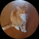 René Van Loosdrecht