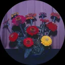 Balder Van der Elst