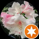 Willie van Willegen-Veenendaal