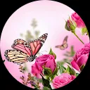 Irene Emmerik -Fickinger