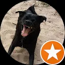 susanne oeltjendiers