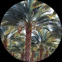 خليل البوعوض