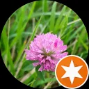 Vincent van Harteveld