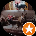 JoyLanaPipDaisyHachi