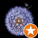 Quincent van Hettema