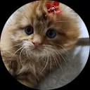 ayse huseyin oztoprak
