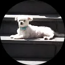 Josephina Van Assche