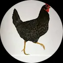 Dupas eefting Melanie