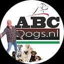 ABC Dogs