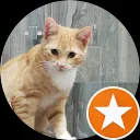 M Mulder (Darthfarsha)