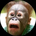 Liesbeth van Sonsbeek