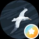 Wandering Albatross