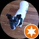 Liesbeth van Lieshout