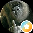 bosman berg