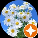 لافي الرمان