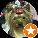 Hans van Leeuwenkamp