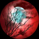 J.J.knoester Knoester (n.v.t)