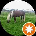 Marie-Antoinette de Wolf