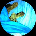 Brenda Heins-Duinmaijer