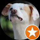 Dorien Van Der Meulen