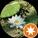 Анна Сергеевна (Заоесна)