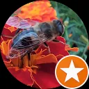 Антоніна Сущева