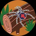 مصعب المرعي