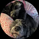 Esther Doorn-van den Dool