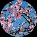 Ingrid Elkaya - van Beek