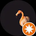 D 83