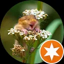 Anita Schipper-van Buuren