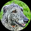 edith de jonge-weijers