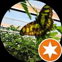 Johannes Pieter van der Sluis