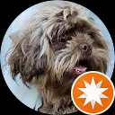 patrick van den bergh