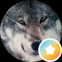 J.J. Wolf