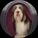 Ineke Derks Schoenmakers