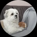 Corine Bollebakker -de Groot