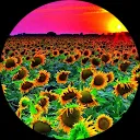 Delia Guastella Monti