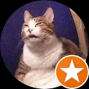 Some kind of cat person