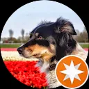 Arthur van der Mierden